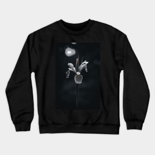 Iris Crewneck Sweatshirt